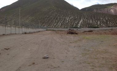 Renta terreno de 20.835m2 con cerramiento y oficina en la Mitad del Mundo