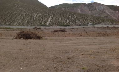 Renta terreno de 20.835m2 con cerramiento y oficina en la Mitad del Mundo