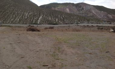 Renta terreno de 20.835m2 con cerramiento y oficina en la Mitad del Mundo