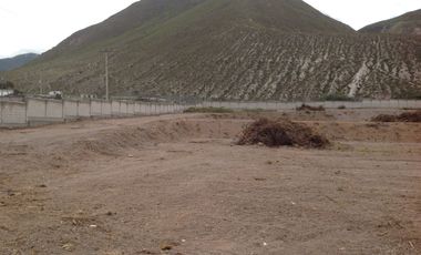 Renta terreno de 20.835m2 con cerramiento y oficina en la Mitad del Mundo