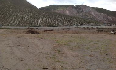 Renta terreno de 20.835m2 con cerramiento y oficina en la Mitad del Mundo