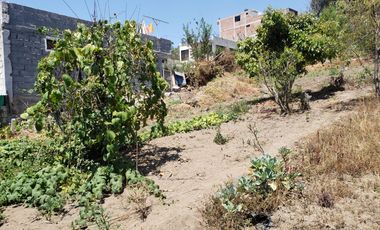 TERRENO EN VENTA EN ANDIGLATA-AMBATO