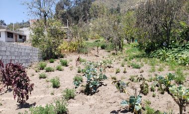 TERRENO EN VENTA EN ANDIGLATA-AMBATO