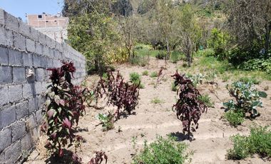 TERRENO EN VENTA EN ANDIGLATA-AMBATO