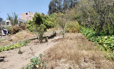 TERRENO EN VENTA EN ANDIGLATA-AMBATO