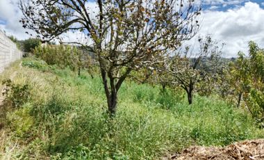 EN VENTA TERRENO CON CASA RENTERA DE DOS DEPARTAMENTOS Y SUITE. PINLLO AMBATO