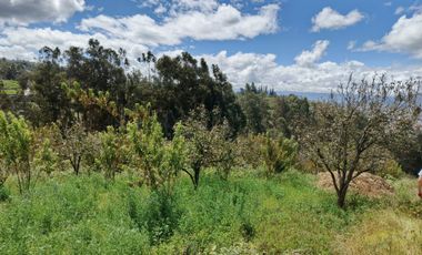 EN VENTA TERRENO CON CASA RENTERA DE DOS DEPARTAMENTOS Y SUITE. PINLLO AMBATO