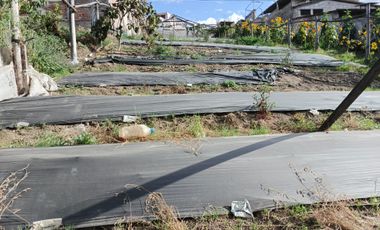 EN VENTA TERRENO PARA  VIVIENDA EN PINLLO AMBATO