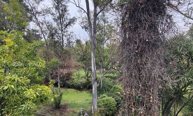CASA PARA REMODELAR EN CERRADA EN LOMAS DE CHAPULTEPEC (V)