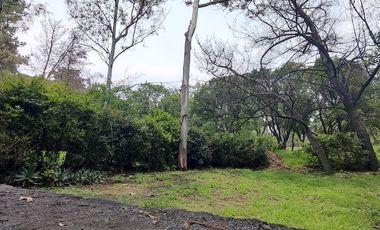 CASA PARA REMODELAR EN CERRADA EN LOMAS DE CHAPULTEPEC (V)