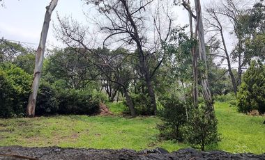 CASA PARA REMODELAR EN CERRADA EN LOMAS DE CHAPULTEPEC (V)