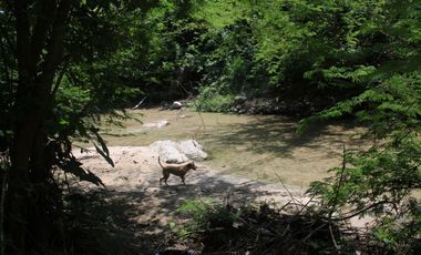 Finca campestre en venta- tranquila en Bonda G-27
