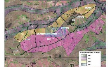 Finca Cumaribo-Malicia Baja-Vichada PRECIO EN MILLONES DE PESOS