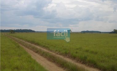 Finca Cumaribo-Malicia Baja-Vichada PRECIO EN MILLONES DE PESOS