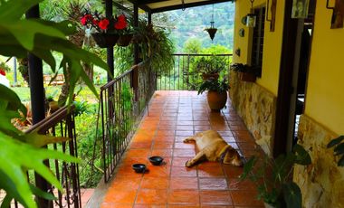 VENTA FINCA LA ELVIRA CALI