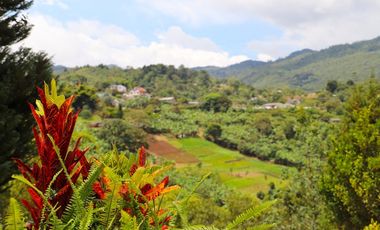 VENTA FINCA LA ELVIRA CALI