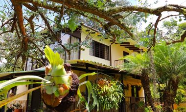 VENTA FINCA LA ELVIRA CALI