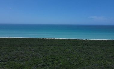 Terrenos en Venta en Celestún