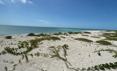 Terrenos en Venta en Celestún