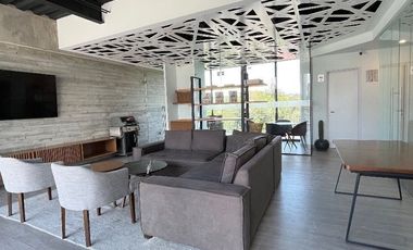 Guadalupe Inn / Lofts con Gran Vista, Amueblado y Con Servicios Incluidos