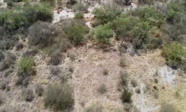 TERRENO COMERCIAL EN RENTA APODACA