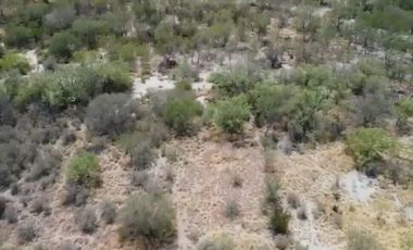 TERRENO COMERCIAL EN RENTA APODACA