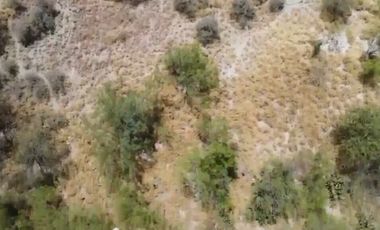 TERRENO COMERCIAL EN RENTA APODACA