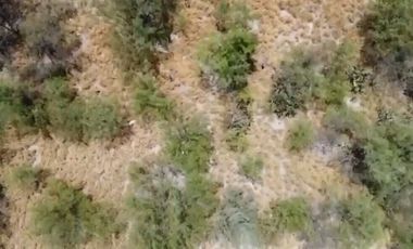 TERRENO COMERCIAL EN RENTA APODACA