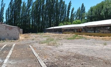 ALQUILER GALPON apto Industria, Allen