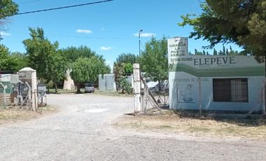 ALQUILER GALPON apto Industria, Allen