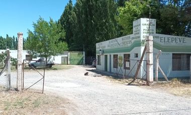 ALQUILER GALPON apto Industria, Allen