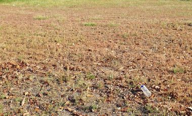 Premium Residential Lot For Sale: 1,100 sqm at Hacienda Royale, Sn Fdo Pampanga