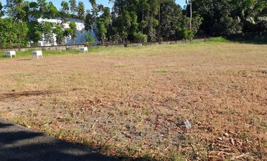 Premium Residential Lot For Sale: 1,100 sqm at Hacienda Royale, Sn Fdo Pampanga