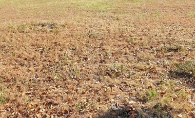 Premium Residential Lot For Sale: 1,100 sqm at Hacienda Royale, Sn Fdo Pampanga