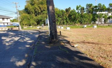 Premium Residential Lot For Sale: 1,100 sqm at Hacienda Royale, Sn Fdo Pampanga