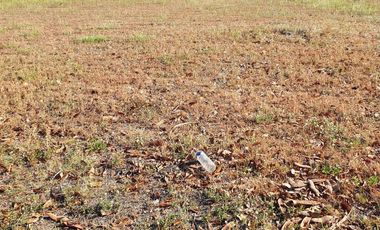 Premium Residential Lot For Sale: 1,100 sqm at Hacienda Royale, Sn Fdo Pampanga