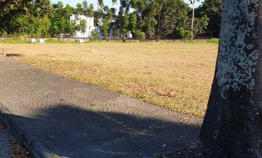 Premium Residential Lot For Sale: 1,100 sqm at Hacienda Royale, Sn Fdo Pampanga