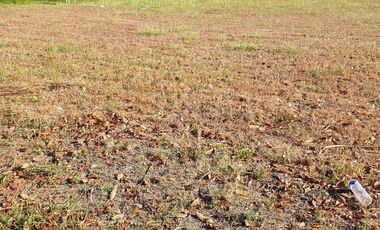 Premium Residential Lot For Sale: 1,100 sqm at Hacienda Royale, Sn Fdo Pampanga