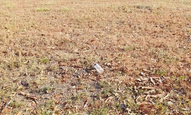 Premium Residential Lot For Sale: 1,100 sqm at Hacienda Royale, Sn Fdo Pampanga