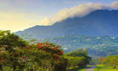 LOT ONLY / LEISURE LOT / CALAMBA LOT / AYALA LOT / AYALA GREENFIELDS