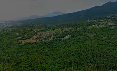 LOT ONLY / LEISURE LOT / CALAMBA LOT / AYALA LOT / AYALA GREENFIELDS