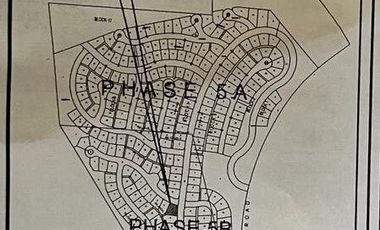 LOT ONLY / LEISURE LOT / CALAMBA LOT / AYALA LOT / AYALA GREENFIELDS