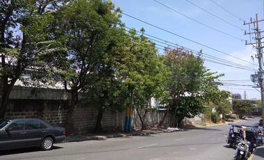 28,000 sqm Commercial Lot for Sale in Sucat, Muntinlupa City