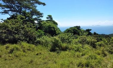 Scenic Puerto Galera Property For Sale at P500/Sqm