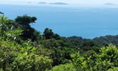 Scenic Puerto Galera Property For Sale at P500/Sqm
