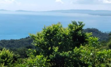 Scenic Puerto Galera Property For Sale at P500/Sqm