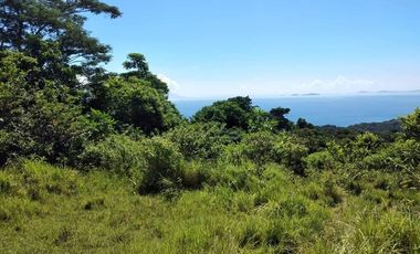 Scenic Puerto Galera Property For Sale at P500/Sqm