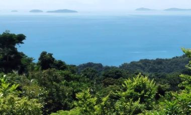 Scenic Puerto Galera Property For Sale at P500/Sqm