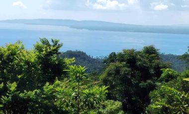 Scenic Puerto Galera Property For Sale at P500/Sqm