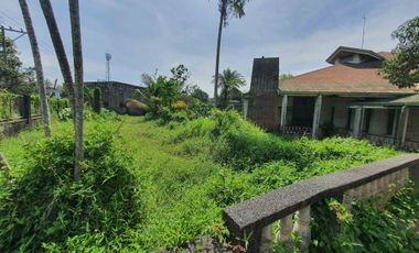 Residential Lot with old house for sale at Noveleta Cavite near main hiway